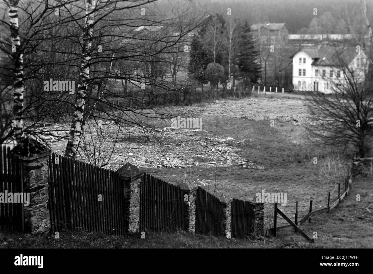 Blick auf den Bayerischen Wald im Zwieseler Umland, 1958. Blick auf den Bayerischen Wald am Stadtrand von Zwiesel, 1958. Stockfoto