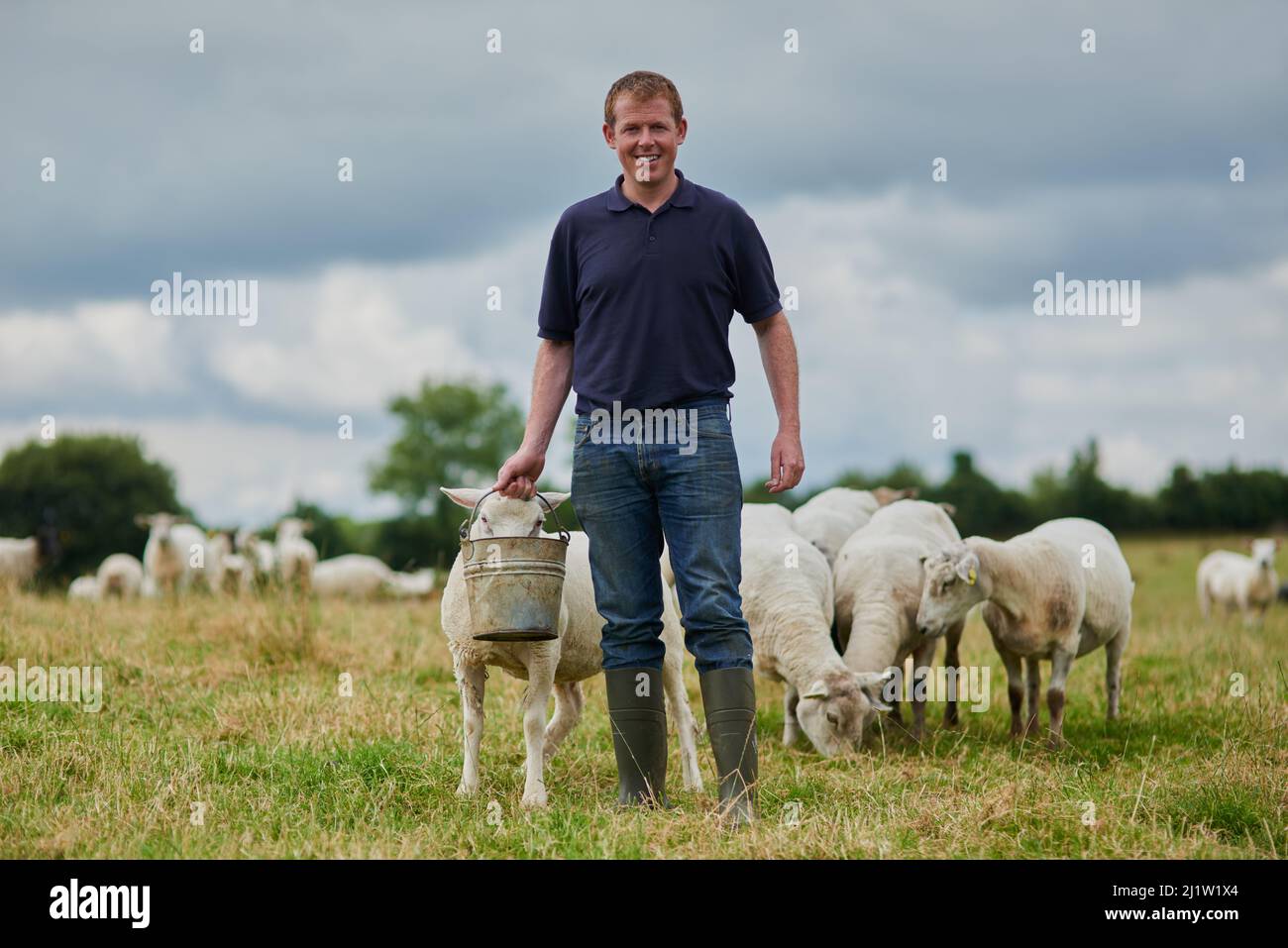 Alle in einem Tag arbeiten auf dem Bauernhof. Porträt eines fröhlichen jungen Bauern, der mit einer Herde Schafe geht und sie füttert, während er einen Eimer hält. Stockfoto