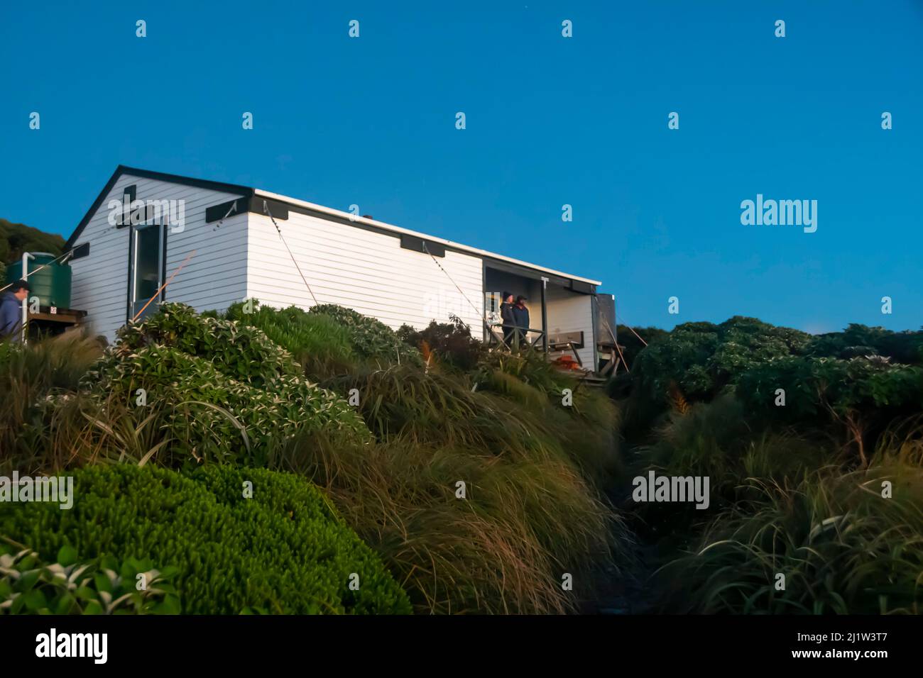 Jumbo Hut, Holdsworth-Jumbo Circuit, Tararua Ranges, North Island, Neuseeland Stockfoto