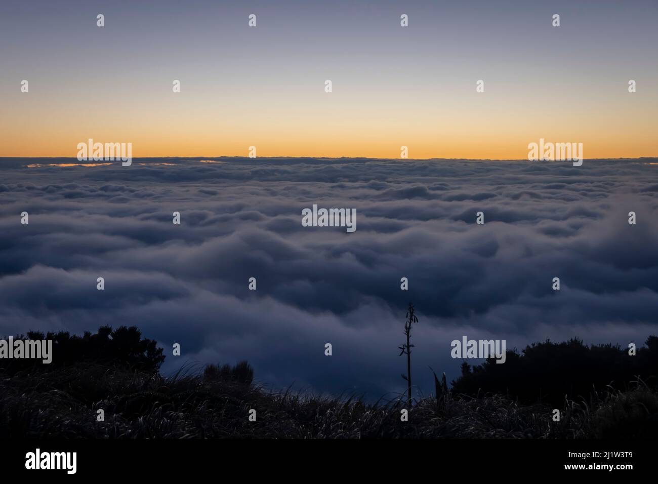 Niedrige Wolke unter den Bergen vor Sonnenaufgang, über den Wairarapa Ebenen, Holdsworth-Jumbo Circuit, Tararua Ranges, North Island, Neuseeland Stockfoto