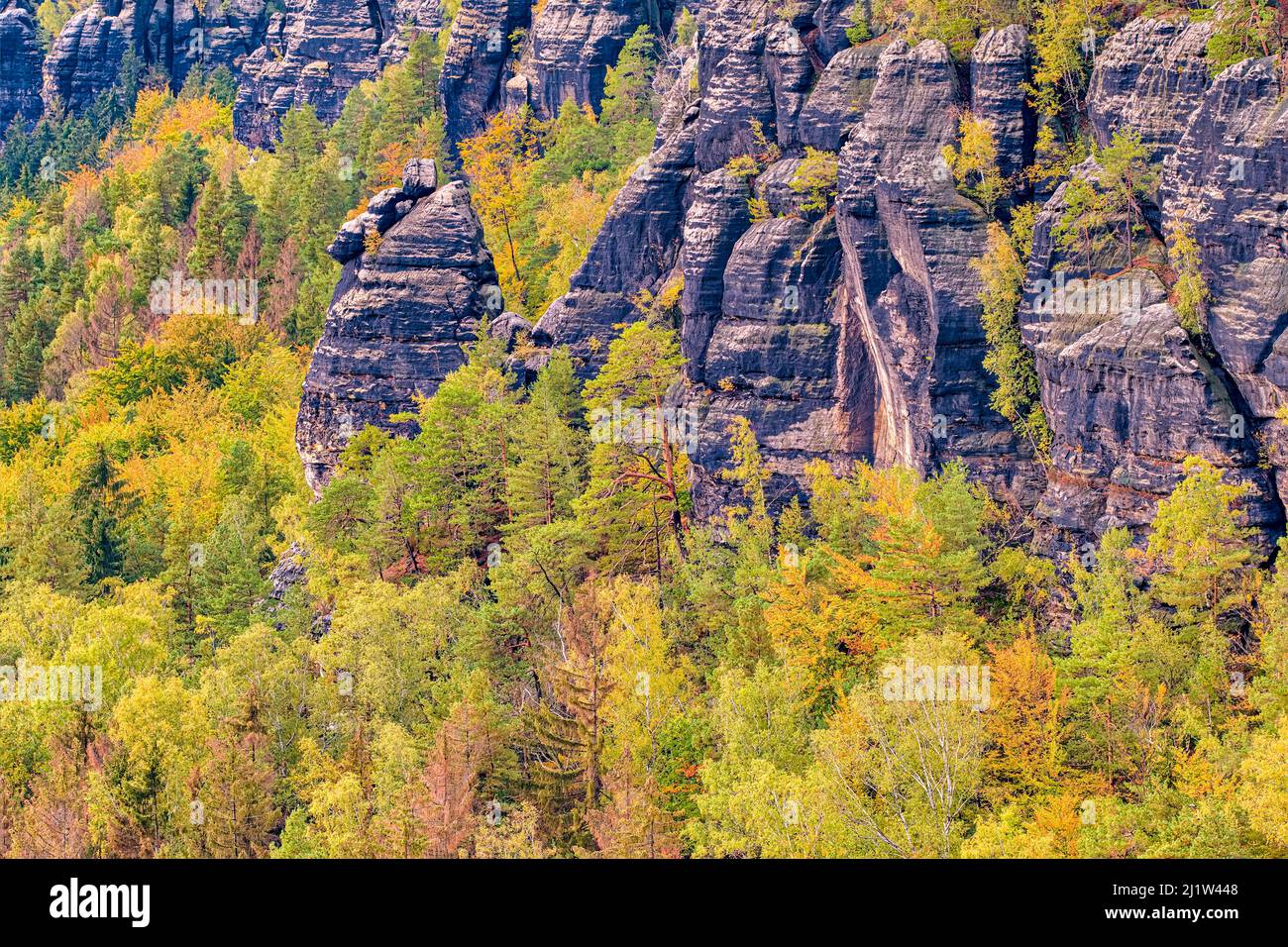 Landschaft mit Felsformationen und bunten Bäumen im Schrammsteine-Gebiet des Nationalparks Sächsische Schweiz im Herbst. Stockfoto