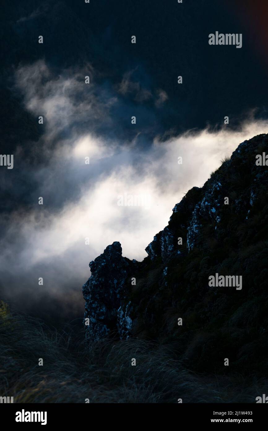 Wolke im Tal unter steilem Bergrücken, Holdsworth-Jumbo-Rennstrecke, Tararua Ranges, Nordinsel, Neuseeland Stockfoto