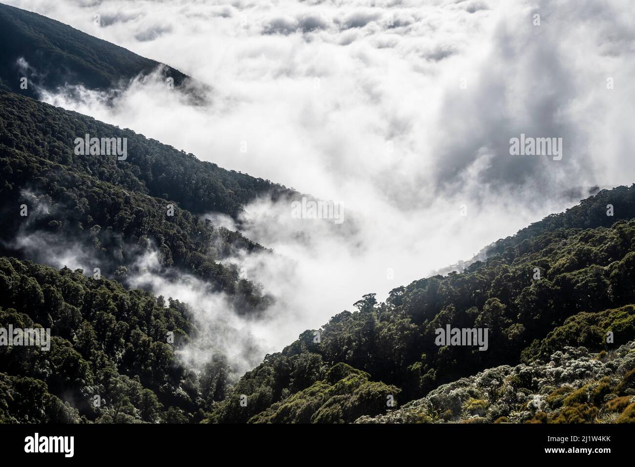 Niedrige Wolke unter den Bergen, über den Wairarapa Ebenen, Holdsworth-Jumbo Schaltung, Tararua Ranges, North Island, Neuseeland Stockfoto