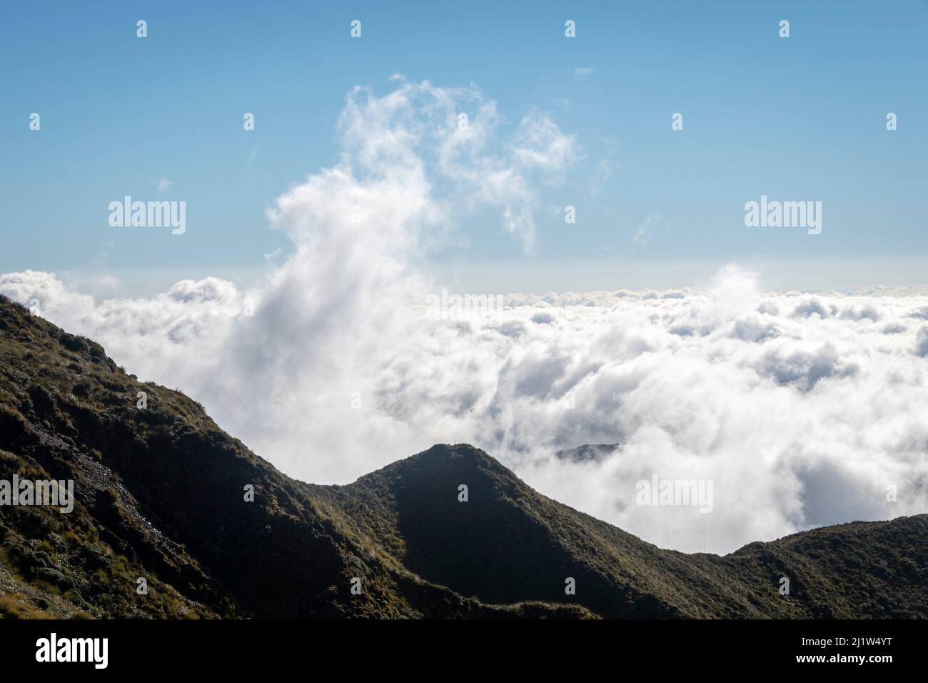 Niedrige Wolke unter den Bergen, über den Wairarapa Ebenen, Holdsworth-Jumbo Schaltung, Tararua Ranges, North Island, Neuseeland Stockfoto