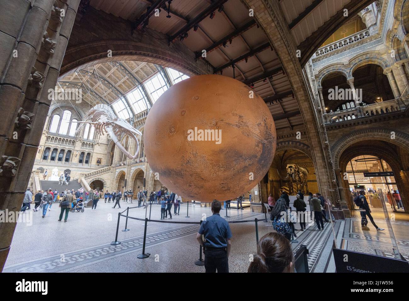 Luke Jerram Mars; Menschen, die das Mars-Kunstmodell von Luke Jerram in der Haupthalle des Natural History Museum, London, Großbritannien, betrachten Stockfoto