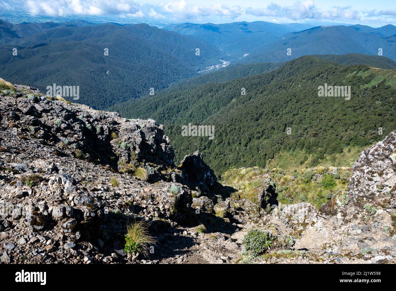 Blick vom Mount Holdsworth auf Totara Flats, Tararua Ranges, North Island, Neuseeland Stockfoto