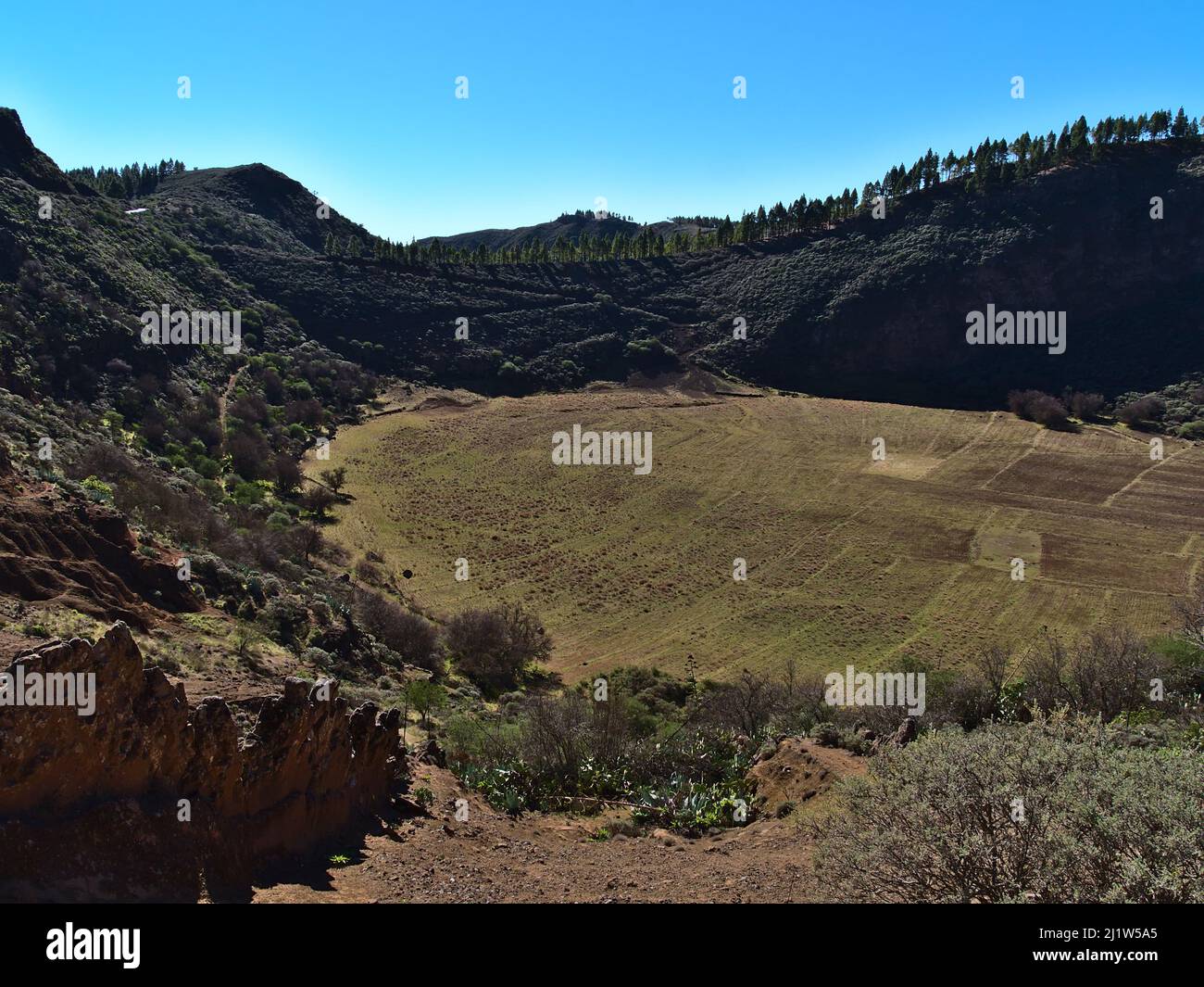 Blick auf den Vulkankrater Caldera de Los Marteles in den zentralen Bergen der Insel Gran Canaria, Spanien an sonnigen Tagen mit grünen Wiesen und Wäldern. Stockfoto