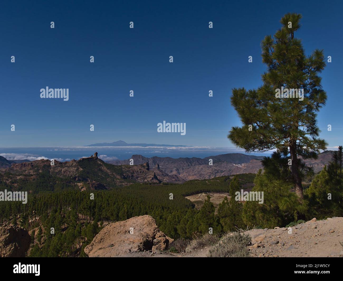 Schöner Blick über die Berge von Gran Canaria, Spanien vom Gipfel des Pico de las Nieves mit dem berühmten Felsen Roque Nublo und der Insel Teneriffa. Stockfoto