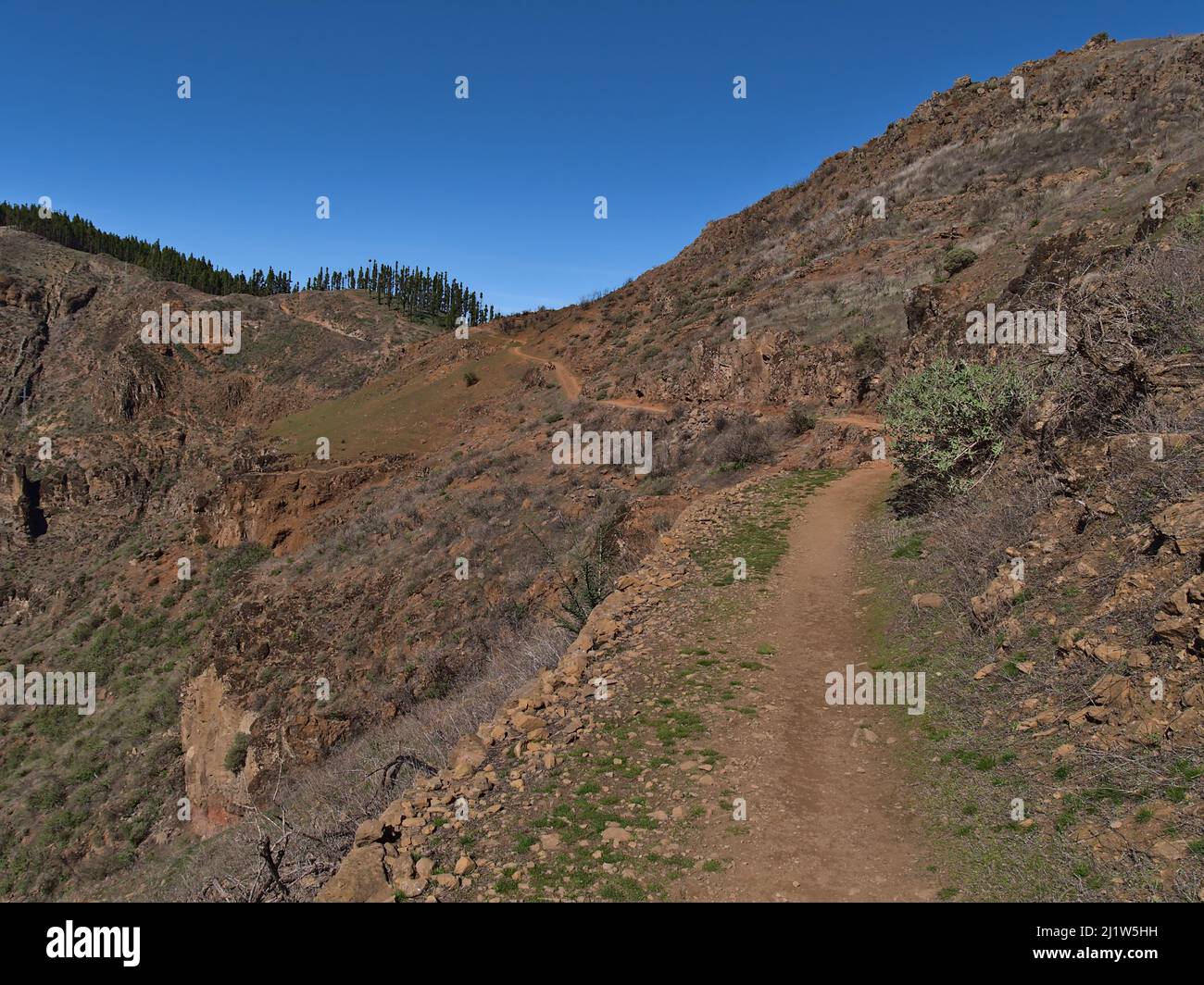 Abnehmende Perspektive des schmalen Wanderweges in den Bergen der Insel Gran Canaria, Kanarische Inseln, Spanien in der Nähe von Cruz de Tejeda an sonnigen Tag. Stockfoto