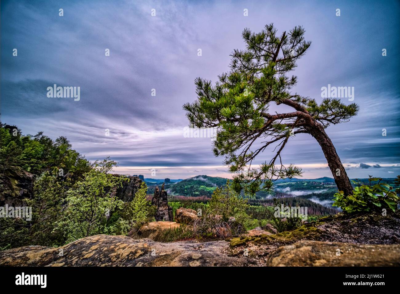 Landschaft mit Felsformationen und dem Gipfel Brosinadel im Affensteine-Gebiet des Nationalparks Sächsische Schweiz. Stockfoto