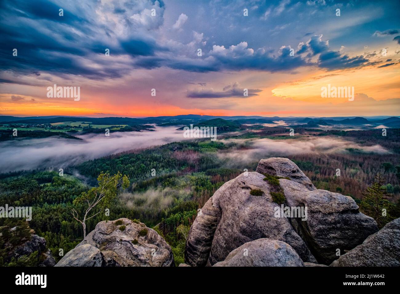 Landschaft mit Felsformationen im Affensteine-Gebiet des Nationalparks Sächsische Schweiz bei Sonnenaufgang. Stockfoto