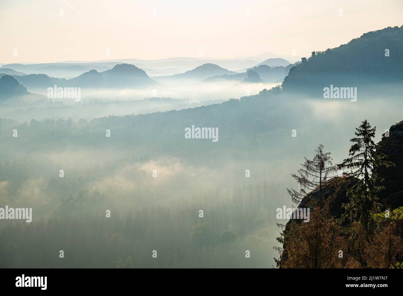 Landschaft mit Felsformationen im Zschand-Gebiet des Nationalparks Sächsische Schweiz bei Sonnenaufgang in Nebel gehüllt. Stockfoto