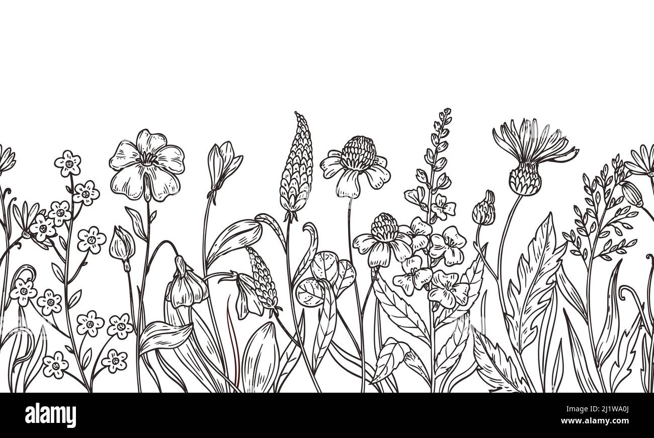 Skizzieren Sie das Wildblumen-Muster. Feldpflanzen, Blume von Hand gezeichnet. Strauß oder Strauß, Sommerblumen. Frühling botanischen Umriss Wiese Greens, neoterischen Vektor Stock Vektor