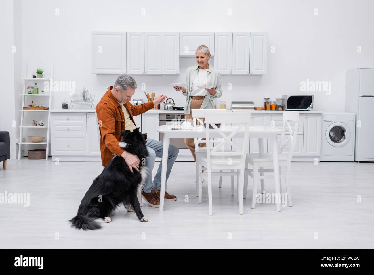 Lächelnde ältere Frau hält Teller in der Nähe des Ehemannes und streichelt in der Küche einen Border Collie Stockfoto