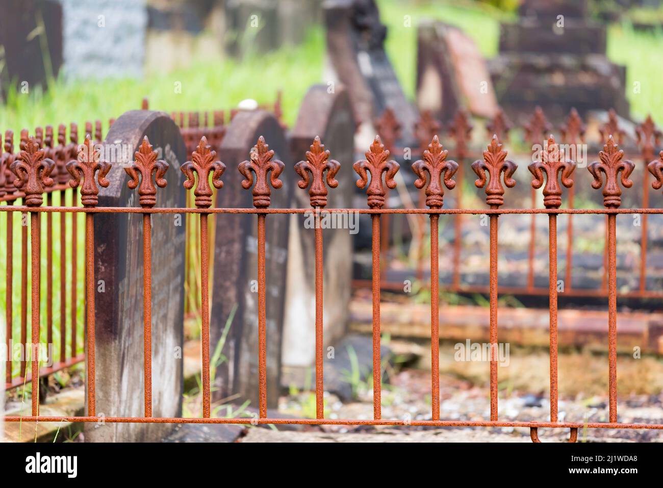 Eine Seite auf dem Bild von geschnitzten Steingrabsteinen umgeben von einem niedrigen gusseisernen Zaun auf einem alten Friedhof oder Friedhof in Sydney, New South Wales, Australien Stockfoto