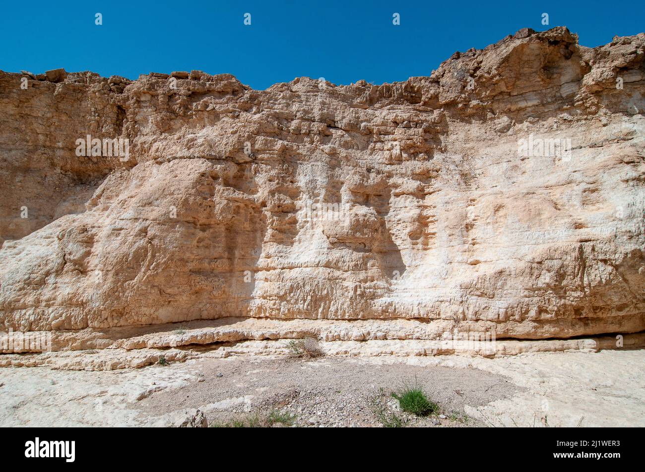 Natürlich erodierte Felswand, fotografiert am Wadi Peres, Einem saisonalen Flussbett in der nordöstlichen Negev-Wüste an der südlichen Grenze des jüdischen Landes Stockfoto