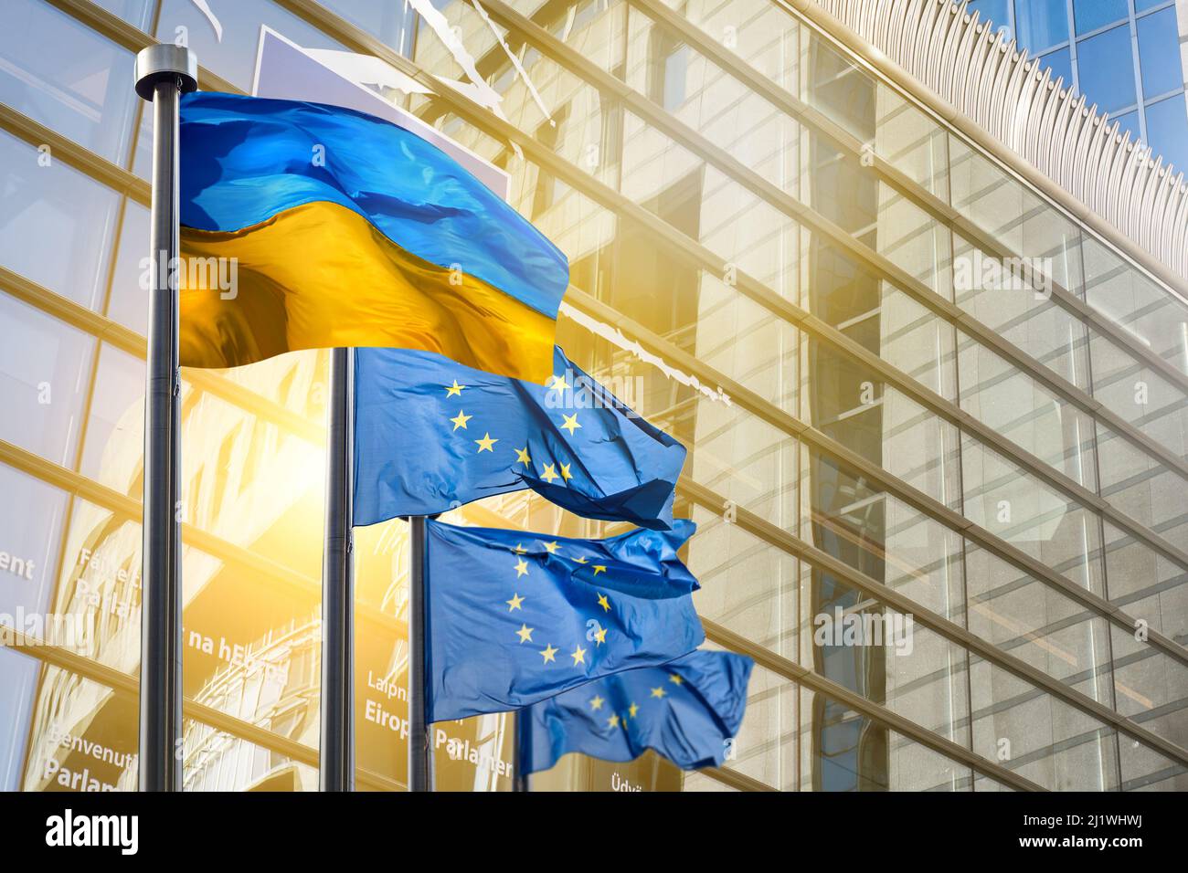 Flaggen der Ukraine und der Europäischen Union Stockfoto