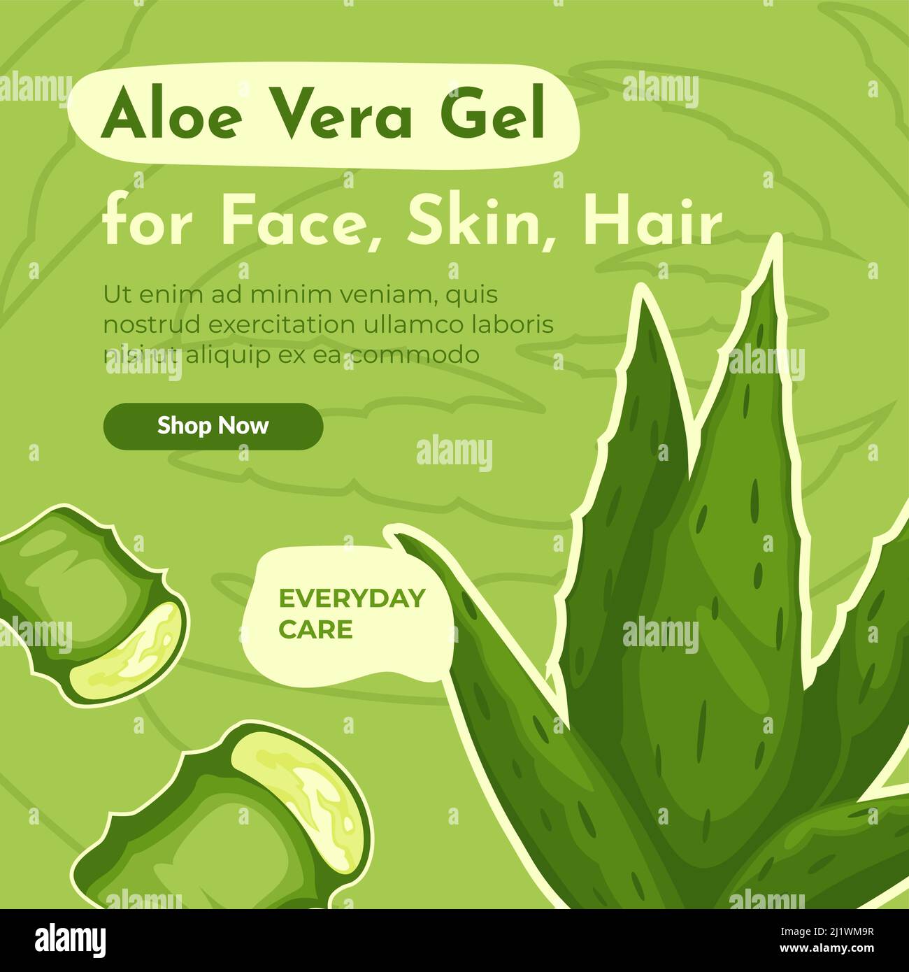 Kosmetik aloe vera pflanze Stock-Vektorgrafiken kaufen - Alamy