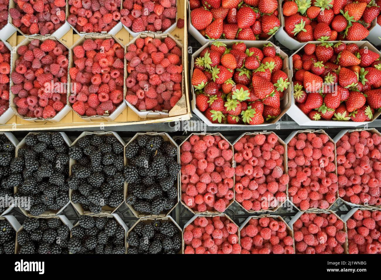Brombeeren, Erdbeeren und Himbeeren in Kartons auf dem Lebensmittelmarkt. Stockfoto