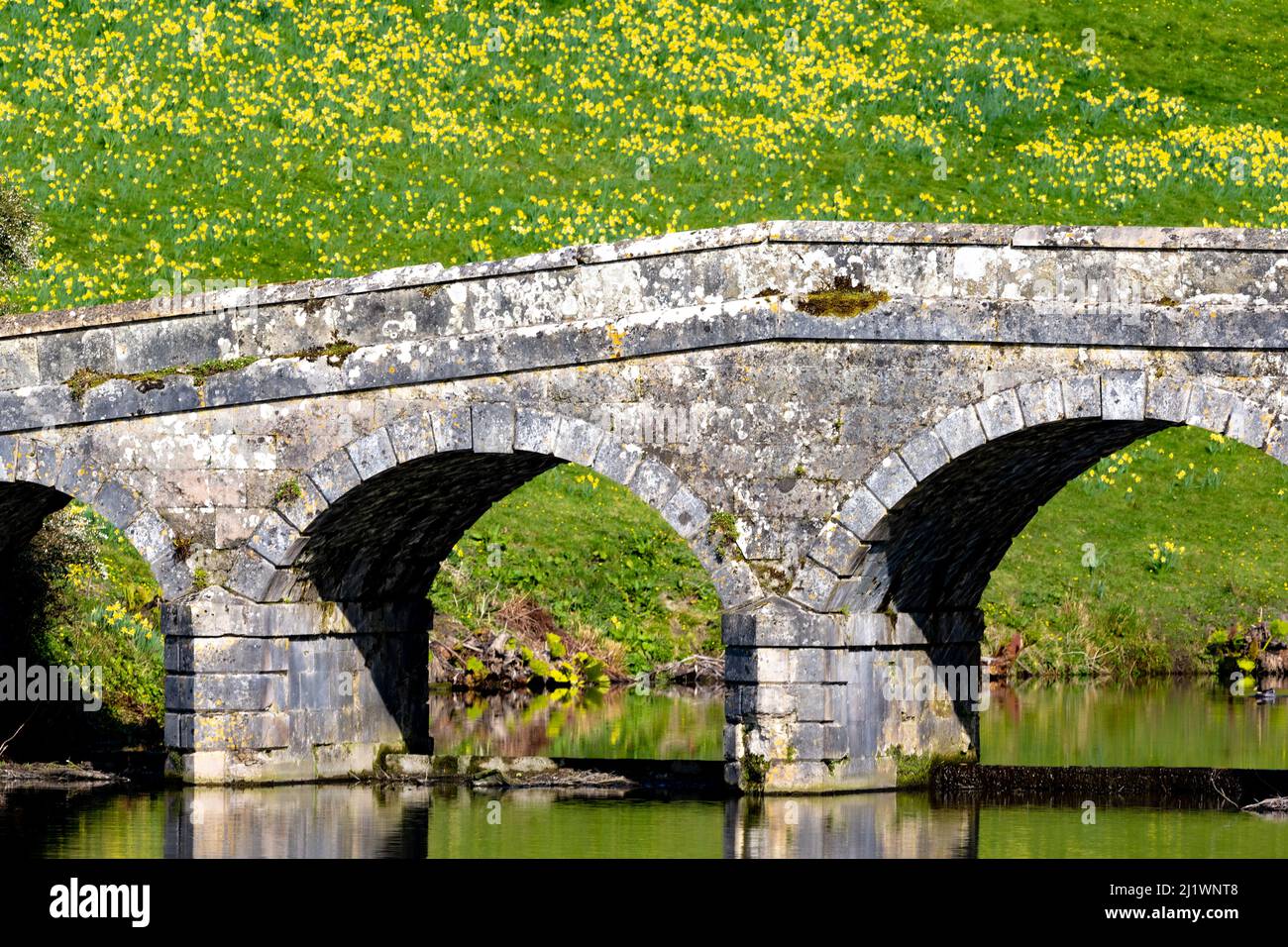 Brücke im Palladium-Stil über den See in Stourhead Gardens, Stourton, Wiltshire, Großbritannien Stockfoto