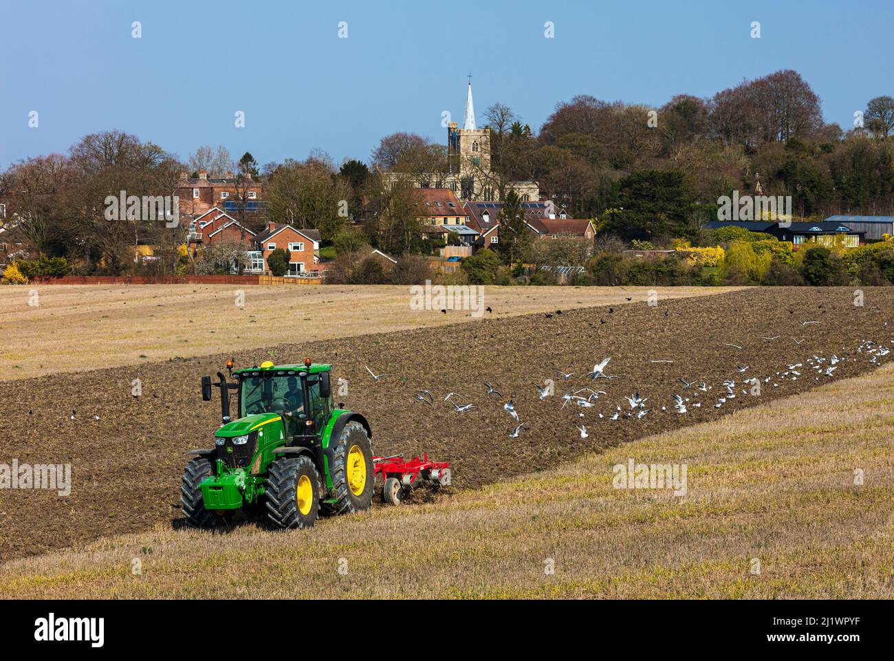 Traktor, ein Feld zu pflügen. Stockfoto