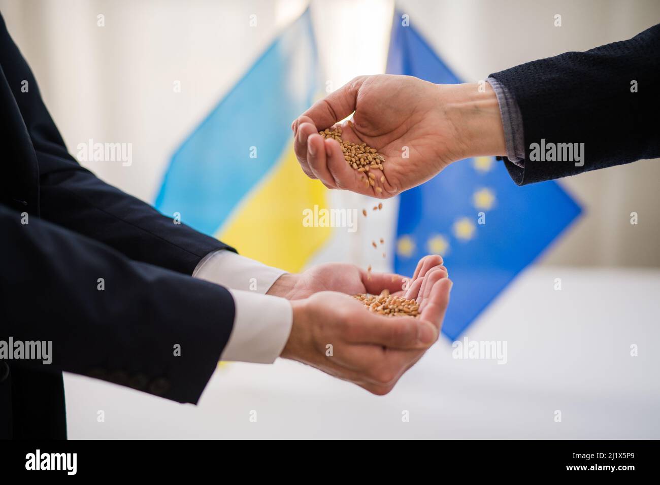 Die Ukraine exportiert Weizen nach Europa und nimmt die Ukraine in das Konzept der Europäischen Union auf. Stockfoto