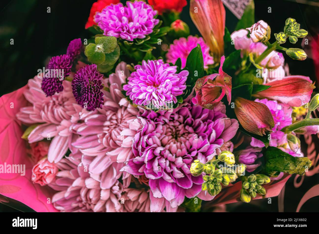 Lila und rosa Blüten gruppiert Stockfoto