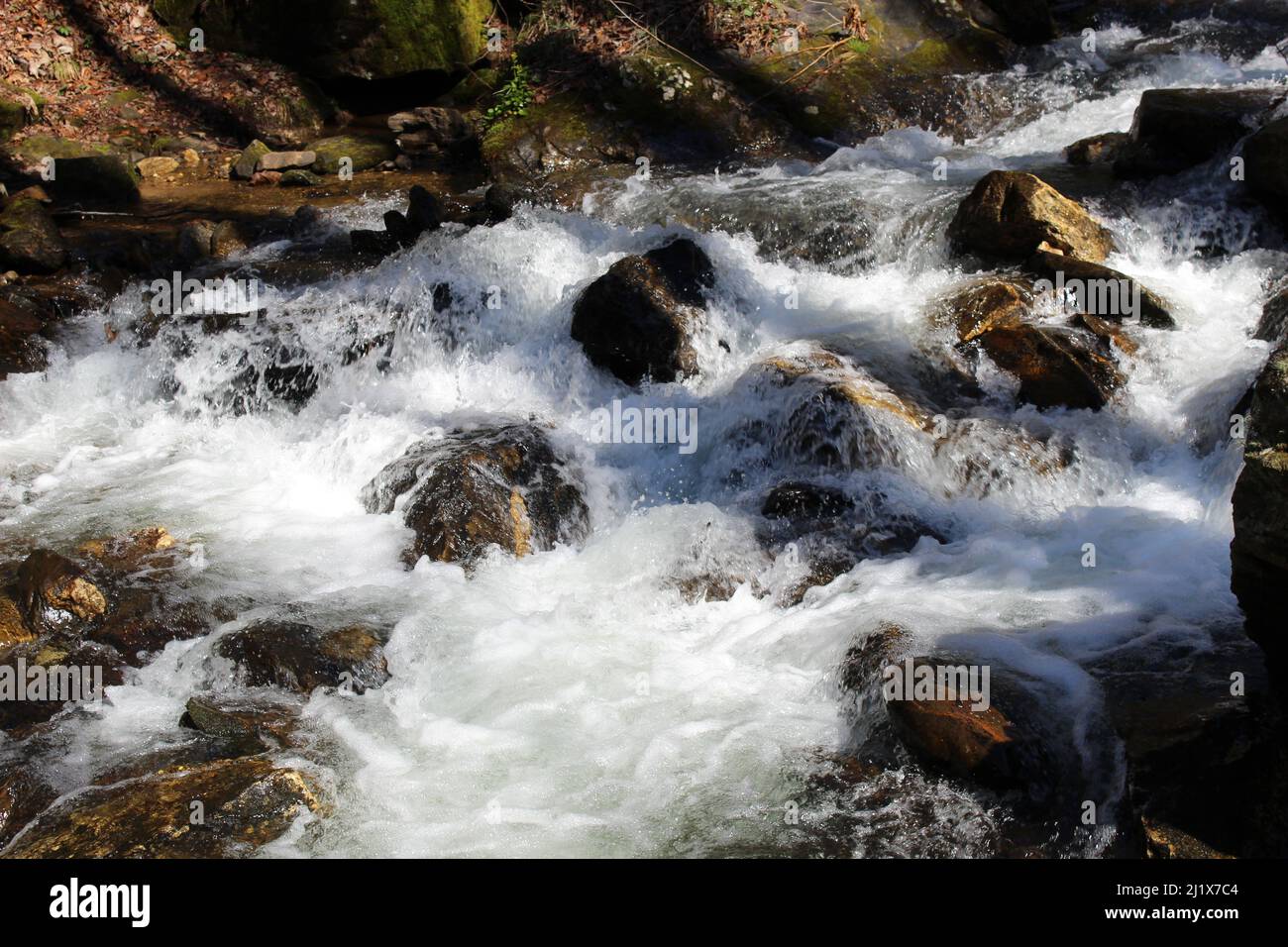 Stromschnellen. Stockfoto