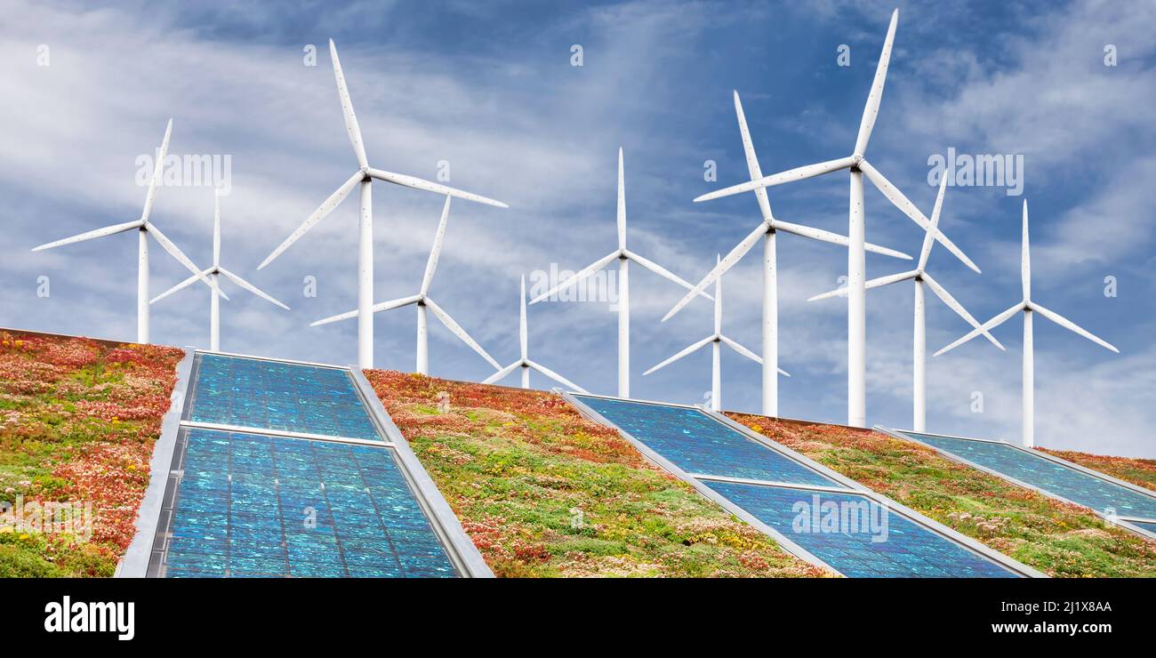 Grünes Sedum-Dach mit Sonnenkollektoren vor einem Windpark mit Windkraftanlagen Stockfoto