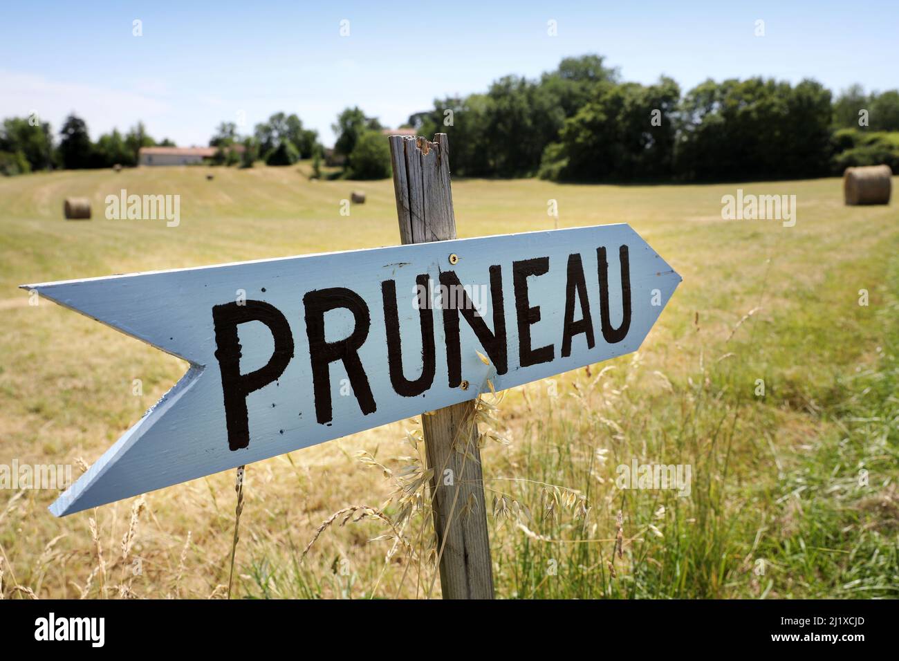 Schild „Pruneau“ zeigt die Richtung zu einem Obstgarten mit Ente Pflaumenbäumen an, wo Agen Pflaumen angebaut werden Stockfoto