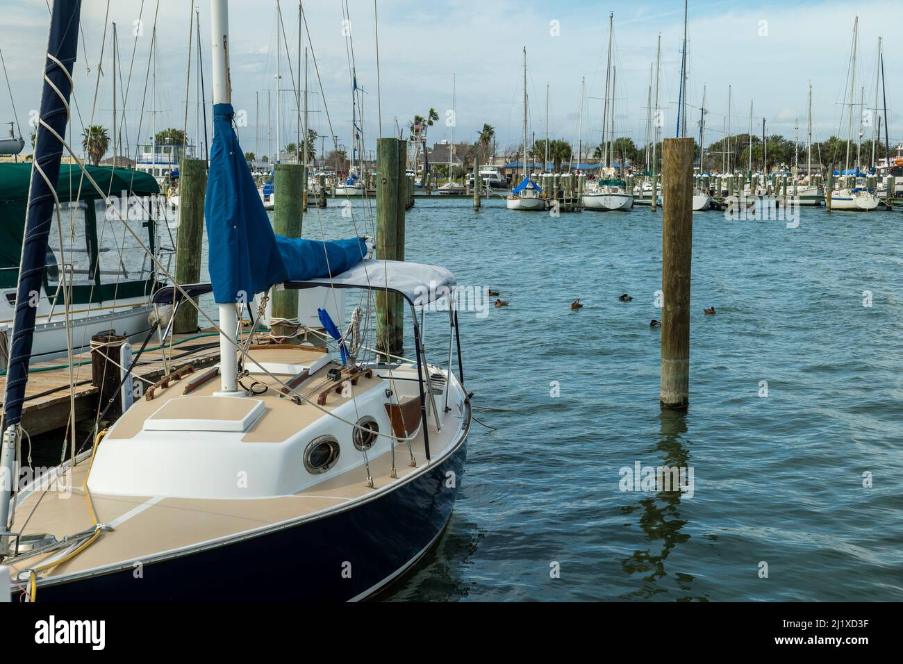 Segelboot an der Anlegestelle in der Marina mit Ente im Wasser hinter dem Boot schwimmen gebunden. Stockfoto