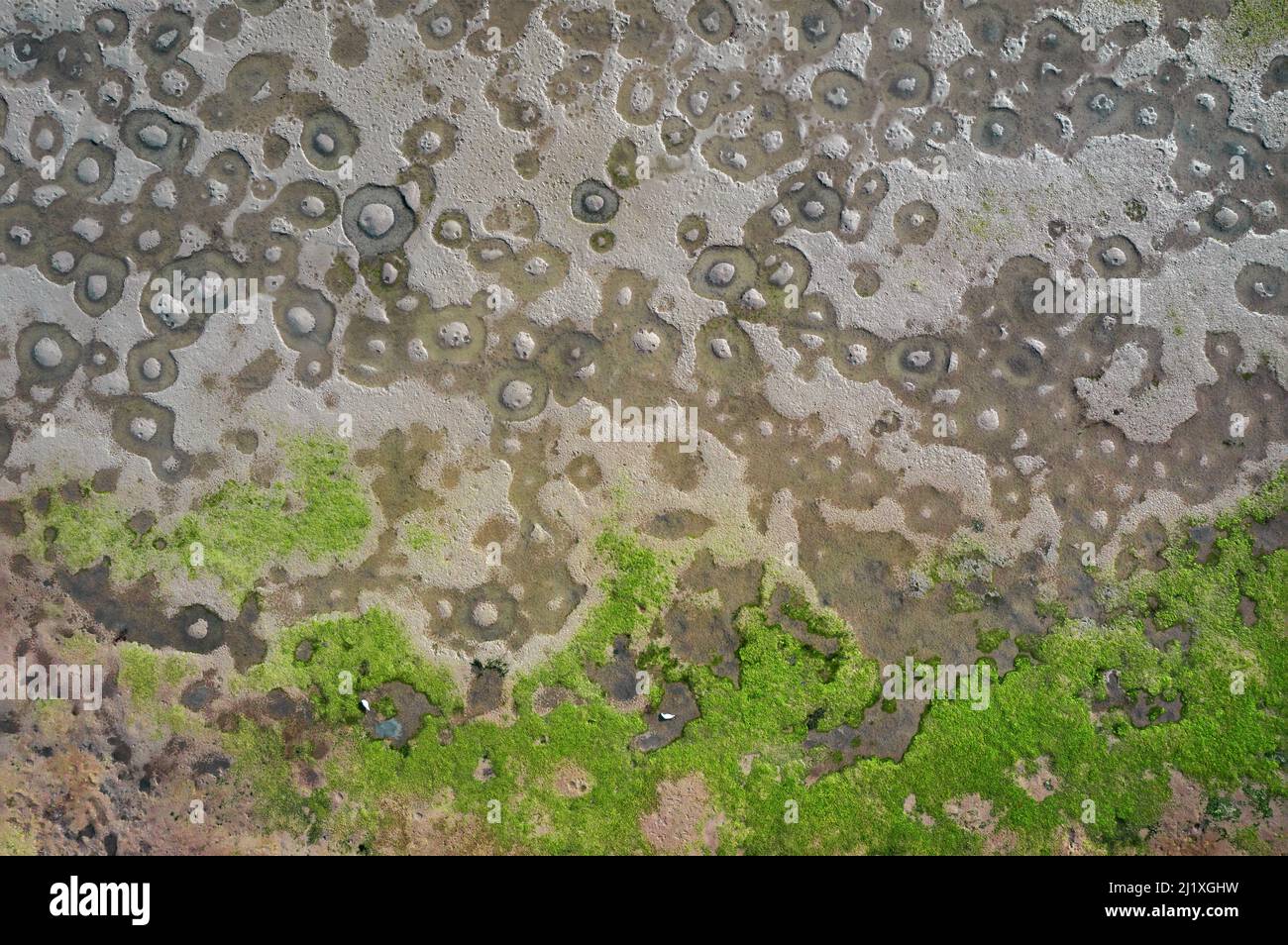Wattenmeer der Lagune von Venedig, Italien. Natürliche Textur, Luftaufnahme direkt darüber Stockfoto