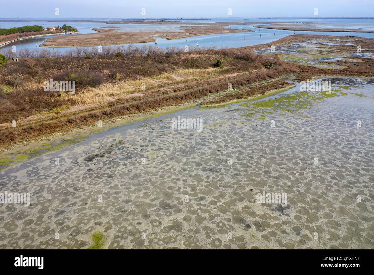 Flaches Ufer der Insel Torcello mit Wattflächen und Salzmoor. Venezianische Lagune, Italien Stockfoto