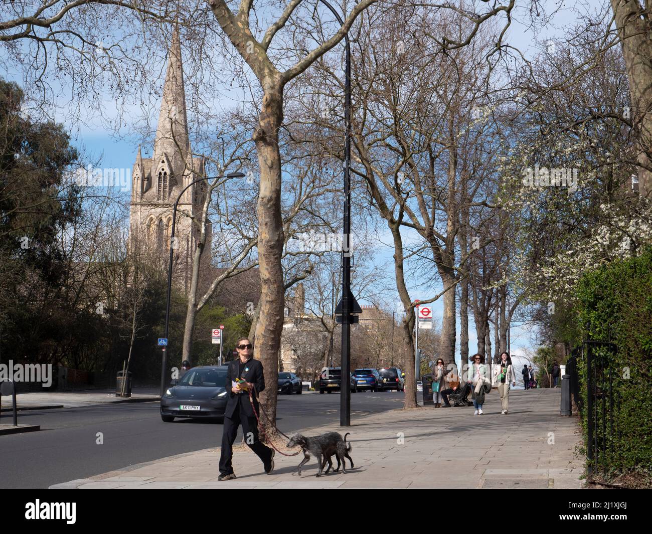 Fußgänger und Hundewanderer gehen auf dem Bürgersteig in Ladbroke Grove mit der St. Johns Kirche im Hintergrund im königlichen Stadtteil Kensington und Chelsea Stockfoto