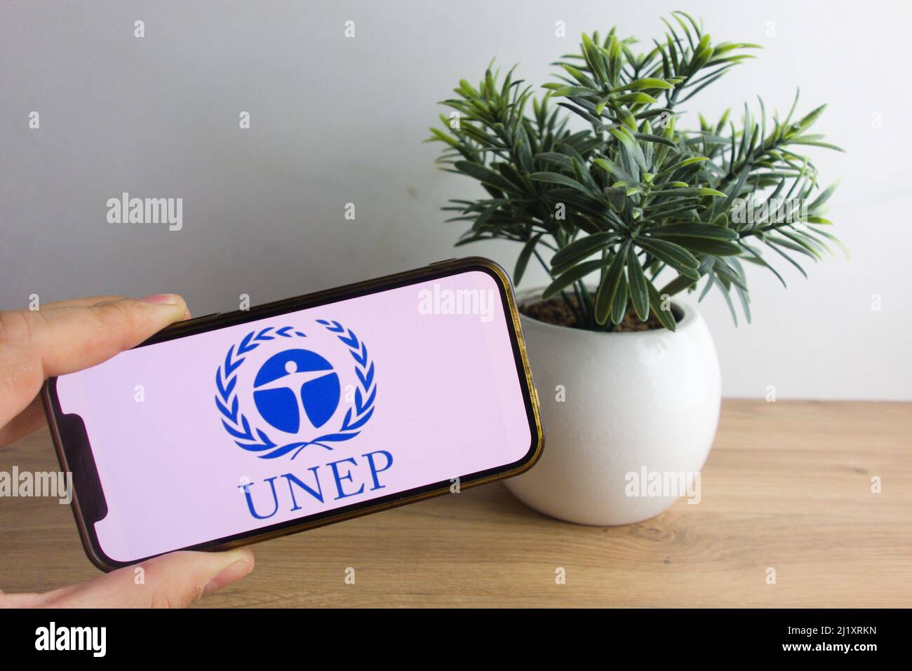 KONSKIE, POLEN - 26. März 2022: Logo des UNEP - United Nations Environment Programme auf Mobiltelefon angezeigt Stockfoto
