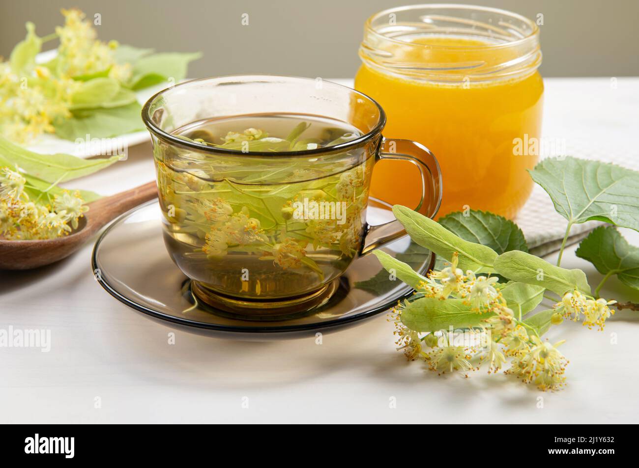 Tilia platyphyllos, bekannt als großblättriger Lindenblüten-Kräutertee, hergestellt aus frisch gepflückten Blüten mit Baumblättern und Ästen mit Blüten Stockfoto