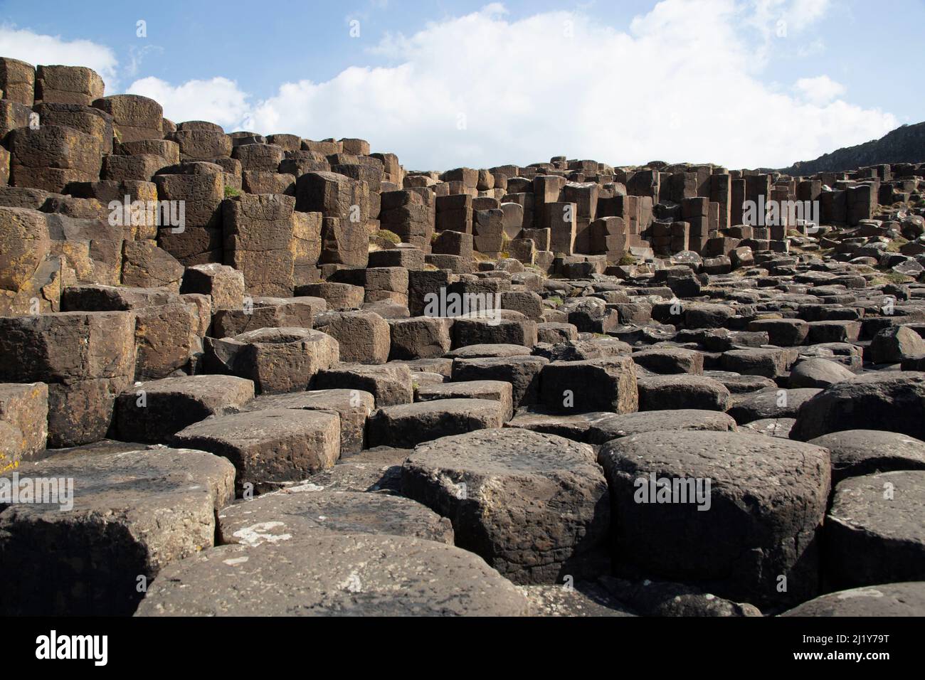 Giant's Causeway ein Gebiet mit etwa ineinanderschränken Basaltsäulen, Grafschaft Antrim an der Nordküste von Nordirland Stockfoto