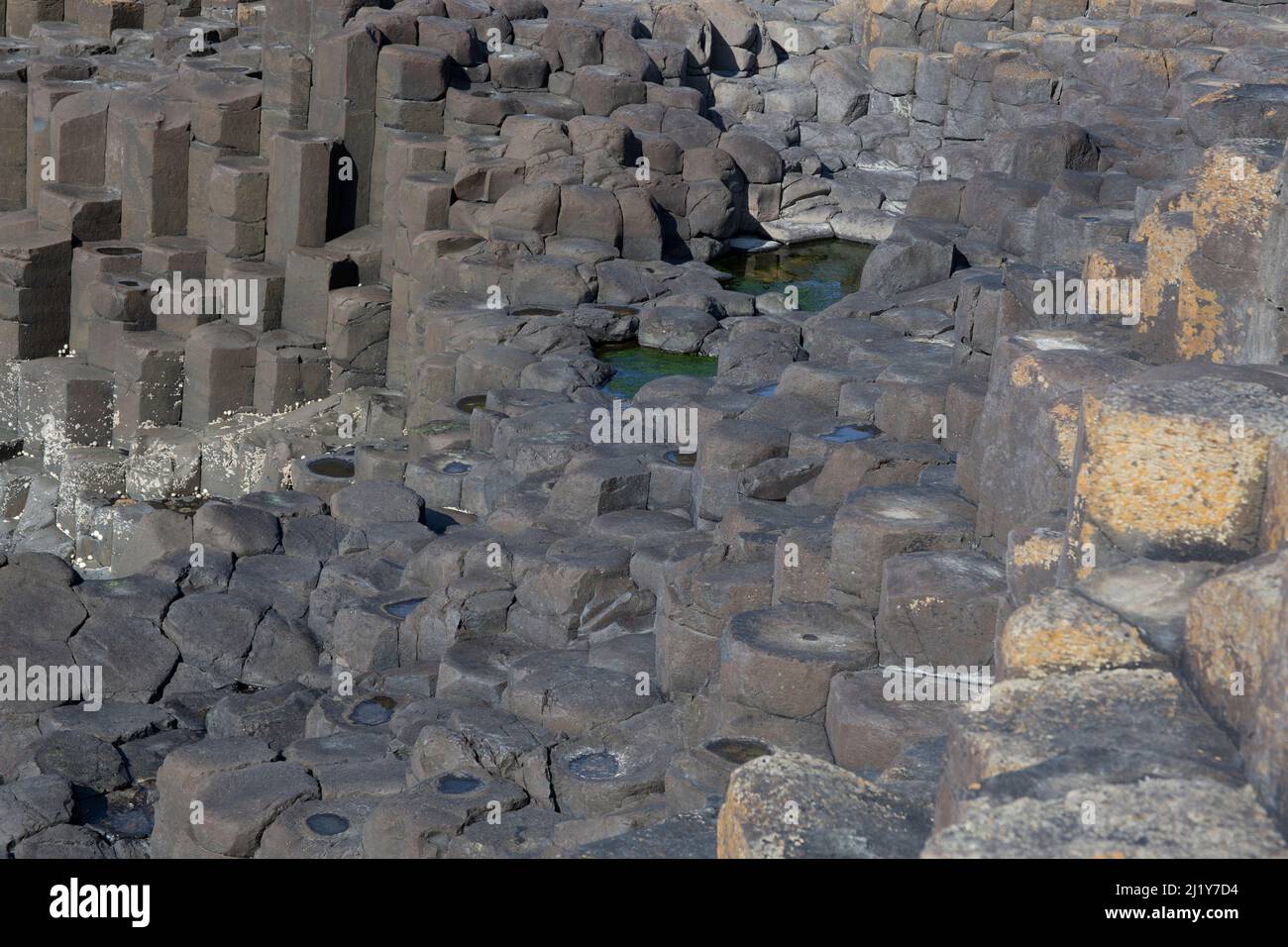 Giant's Causeway ein Gebiet mit etwa ineinanderschränken Basaltsäulen, Grafschaft Antrim an der Nordküste von Nordirland Stockfoto