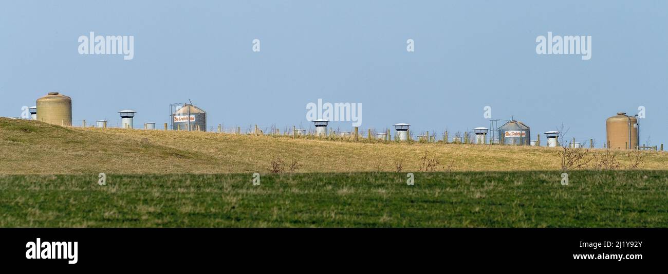 Farm Strukturen in einem Feld leaderburn, Scottish Borders, Schottland, Großbritannien Stockfoto