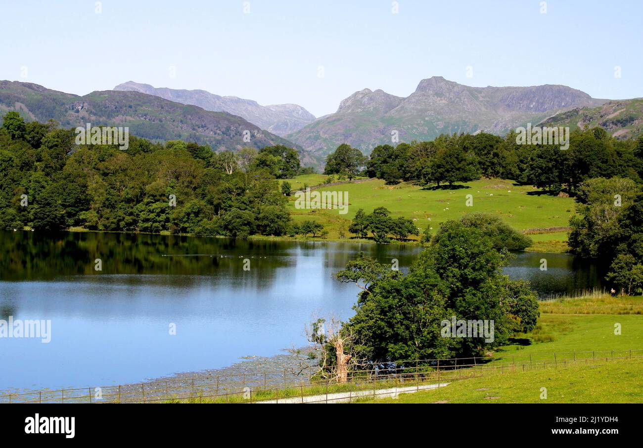 Sommeransicht der Langdale Pikes von Blea Tarn, Lake District Stockfoto