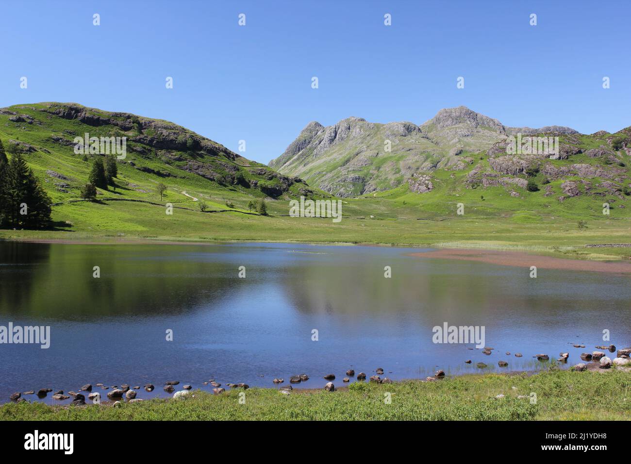 Sommeransicht der Langdale Pikes von Blea Tarn, Lake District Stockfoto