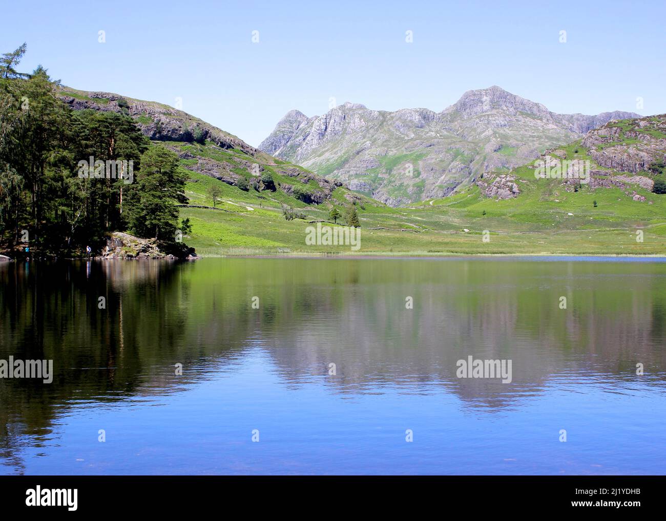 Sommeransicht der Langdale Pikes von Blea Tarn, Lake District Stockfoto