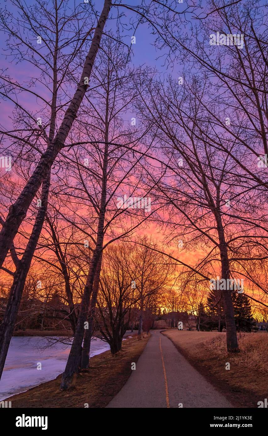 Sonnenaufgang über Einem Spring Park Pathway Stockfoto