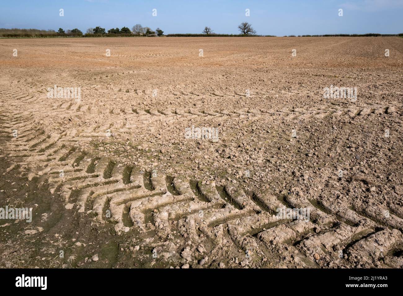 Getrocknete, ausgetrocknete Felder auf einem Bauernhof in der Landschaft von Warwickshire nach einem trockenen Frühlingswetter. Stockfoto