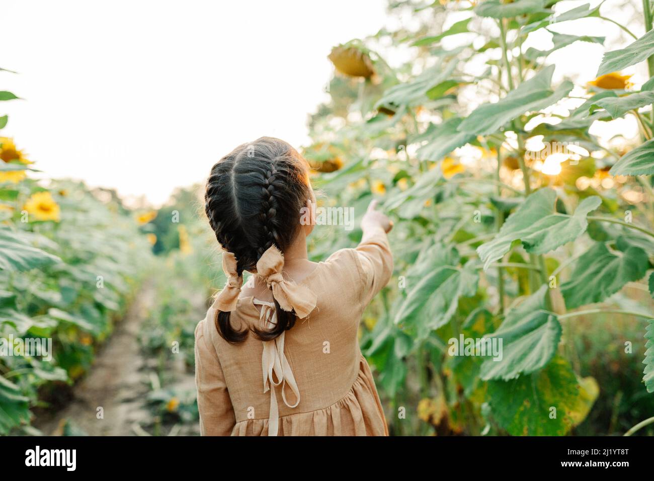 Sonnige Stimmung im Sommer. Kind unter Sonnenblumen Stockfoto