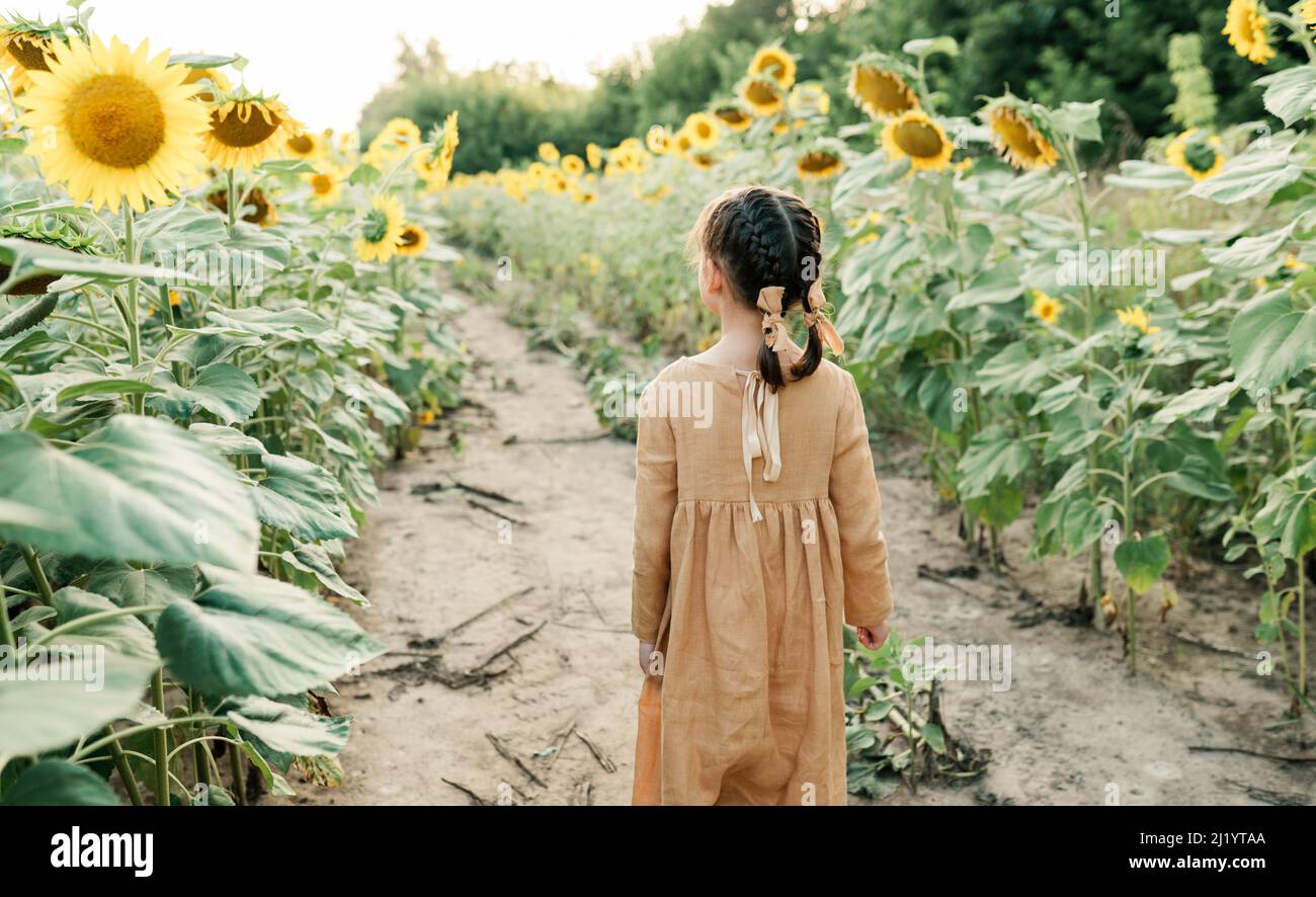 Sonnige Stimmung im Sommer. Kind unter Sonnenblumen Stockfoto