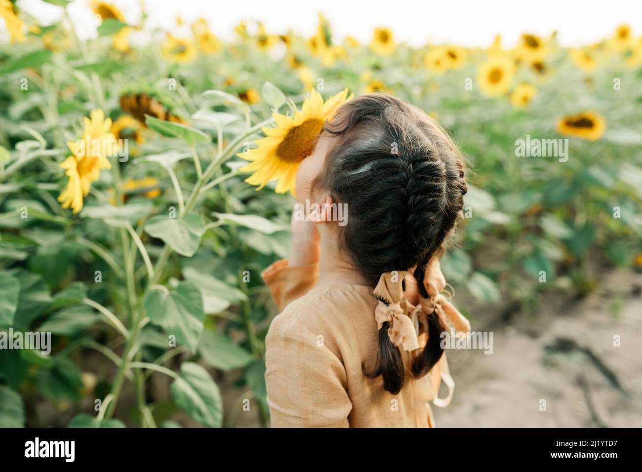 Sonnige Stimmung im Sommer. Kind unter Sonnenblumen Stockfoto