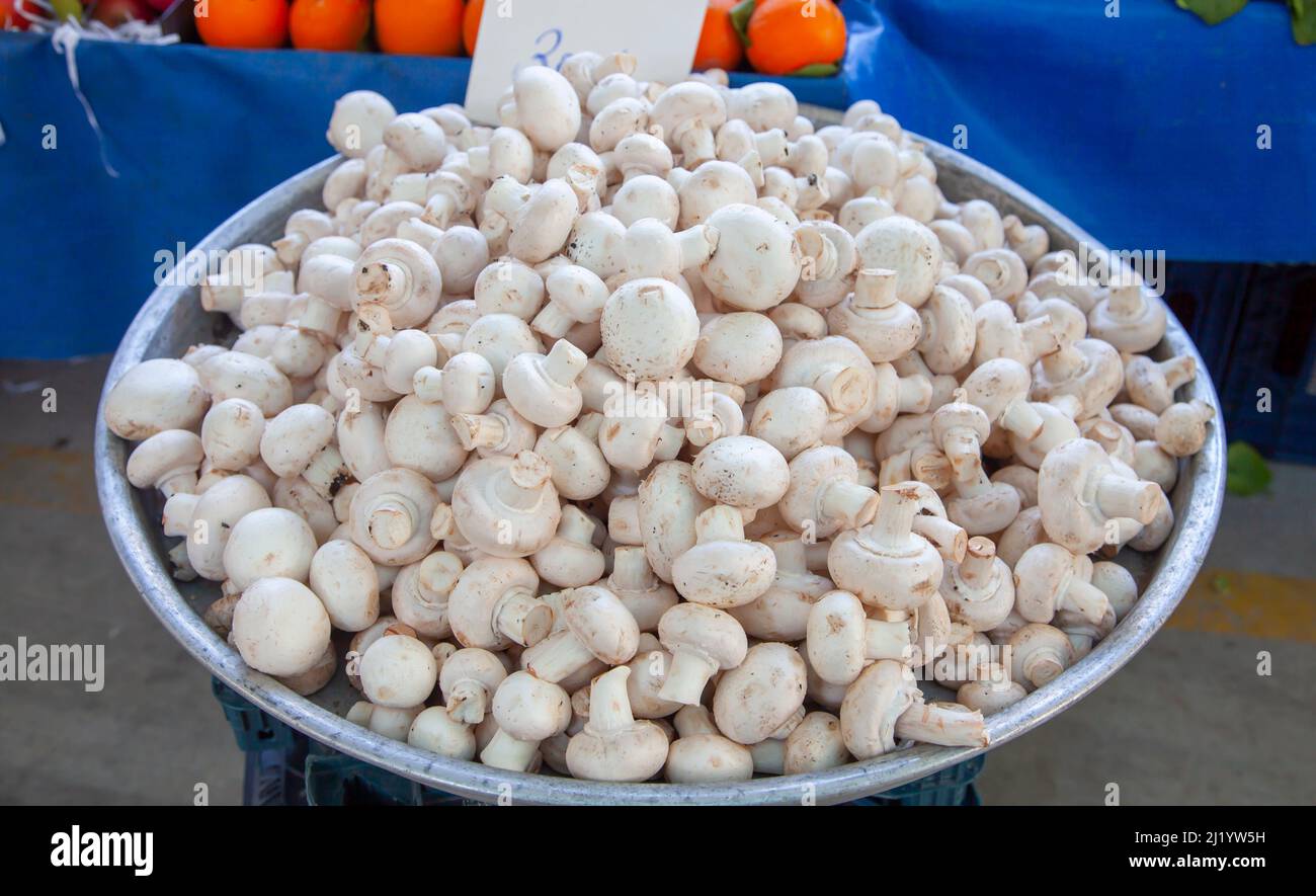 Auf dem lokalen Markt im Mittelmeer werden Champignons zum Verkauf angeboten. Stockfoto