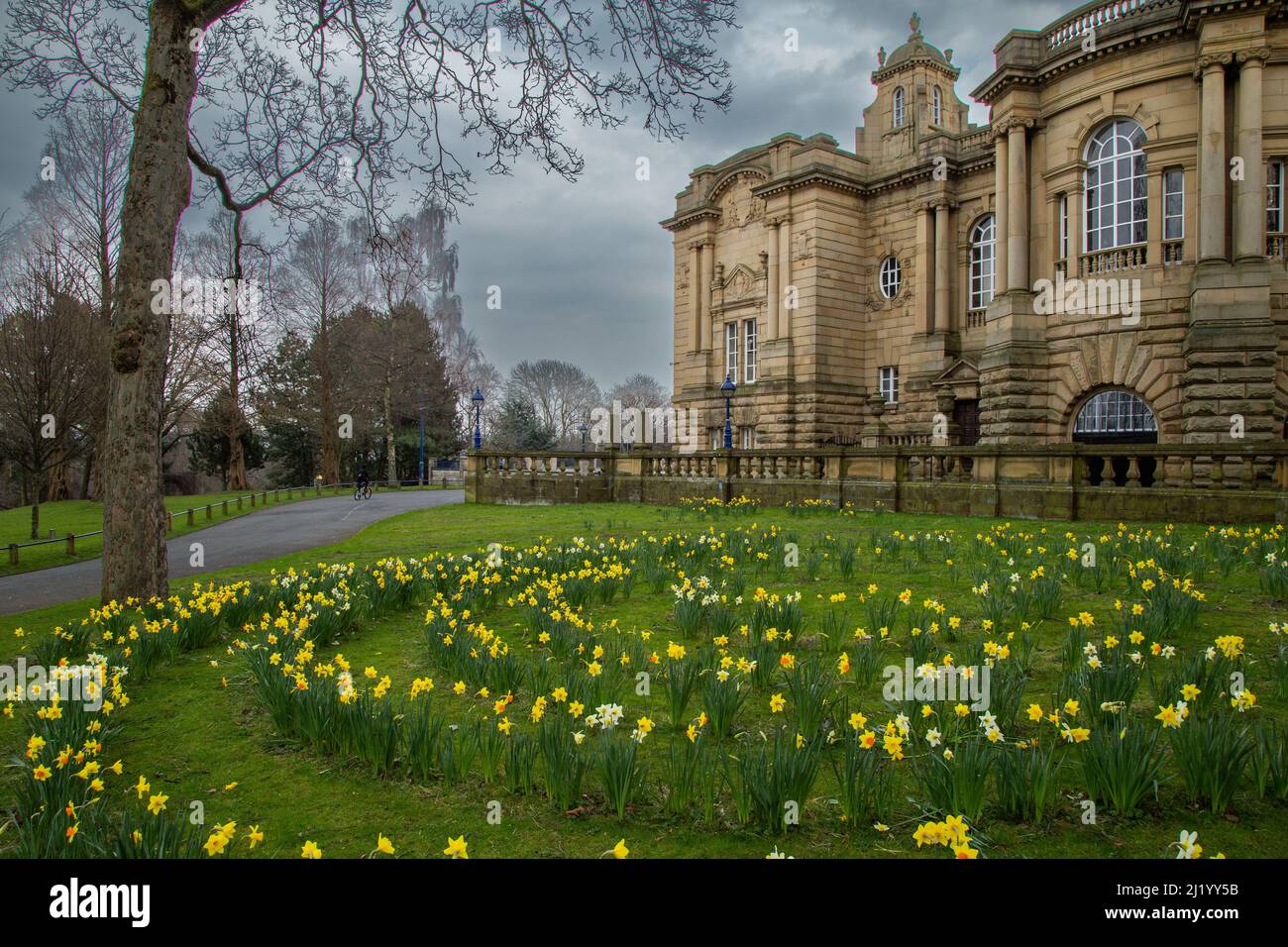 Narzissen vor Cartwright Hall, Bradford, Yorkshire, England. Cartwright Hall ist ein denkmalgeschütztes Gebäude auf dem Gelände des Lister Park. Stockfoto