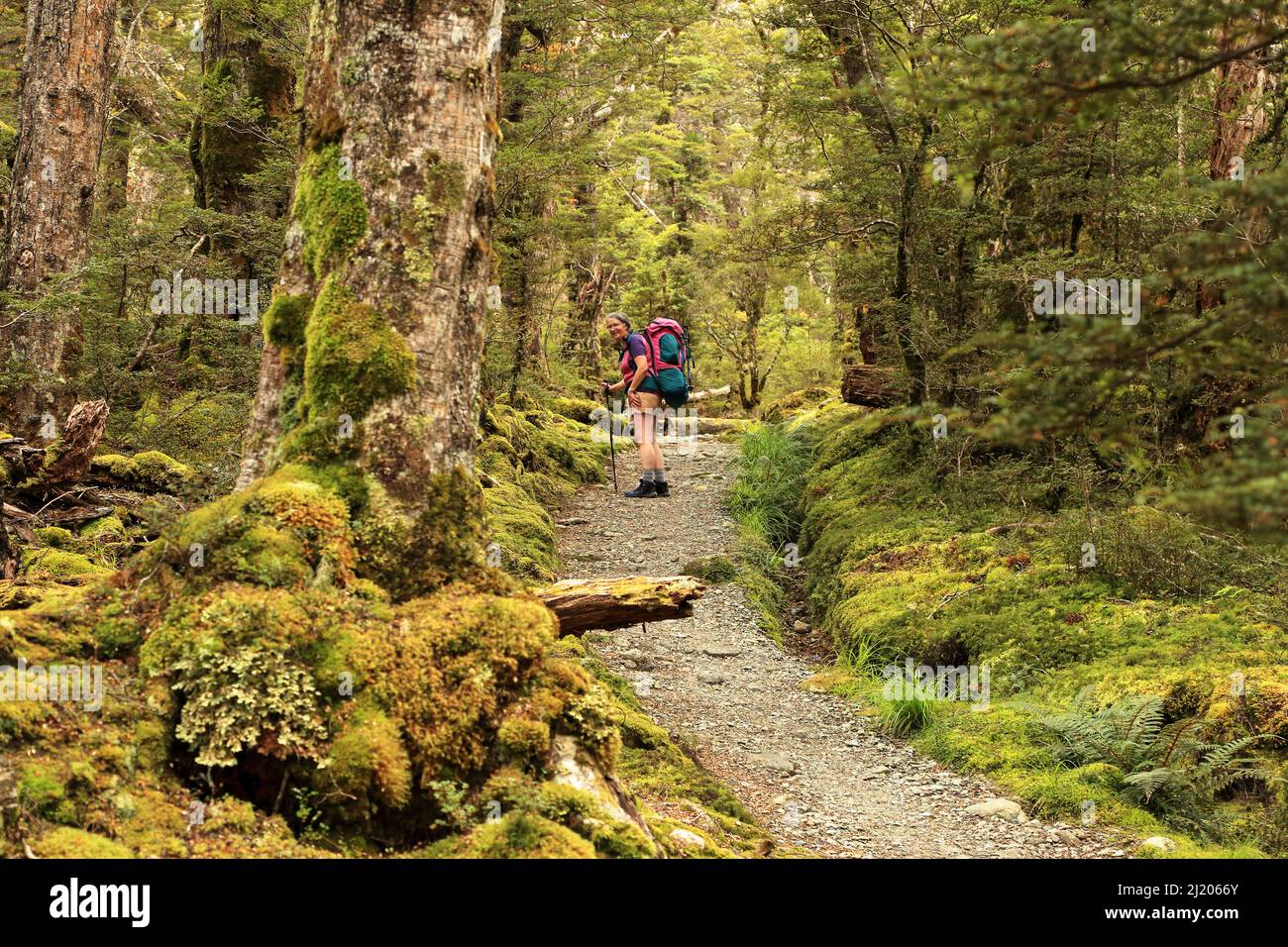 Kepler Track Fiordland Neuseeland Stockfoto
